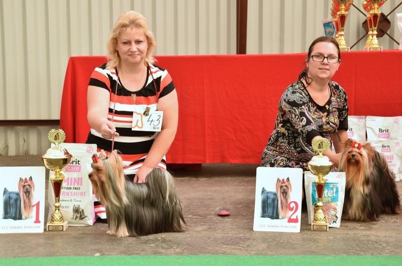 Feny-mezitřída Fmez