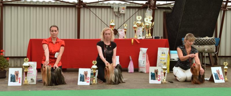 Feny - třída otevřená FO