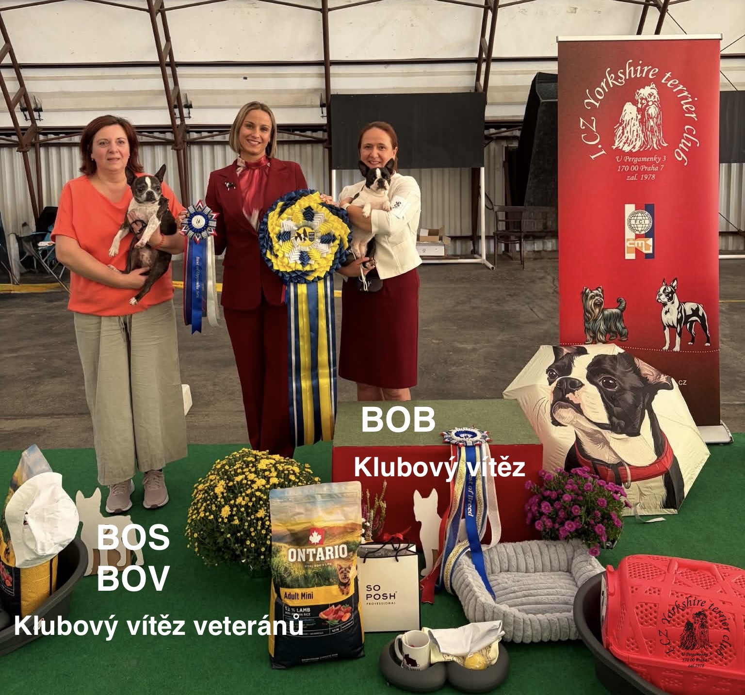 BOB+BOS