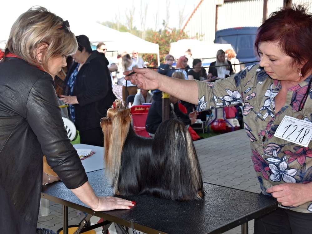 Flame of Love Srebrne Marzenie