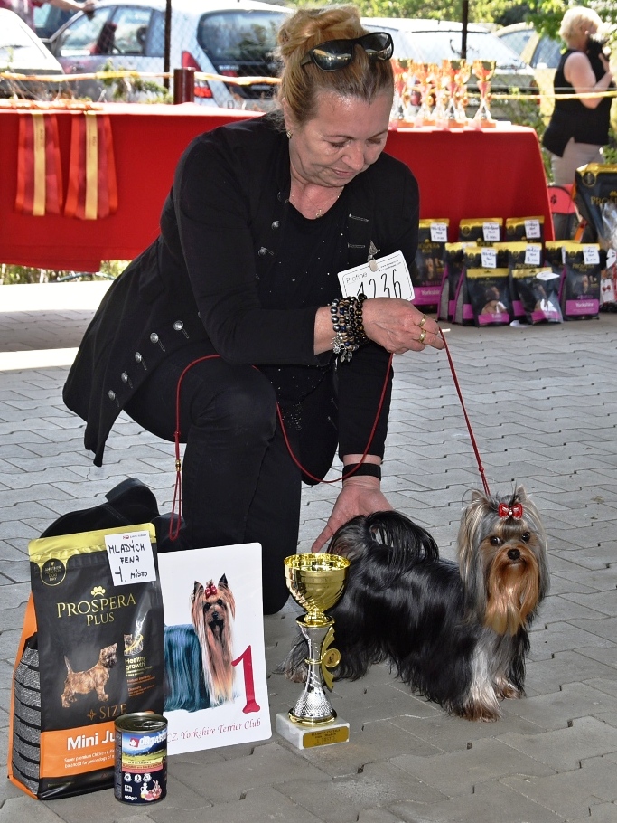 JASMIN JASPÉ ČERTÍK