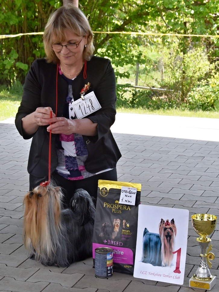 DIAMOND PRINCESS ARS ASHANTI