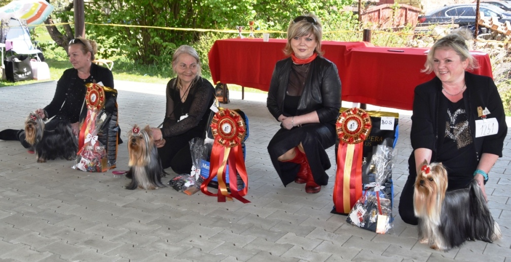 Vítězové výstavy