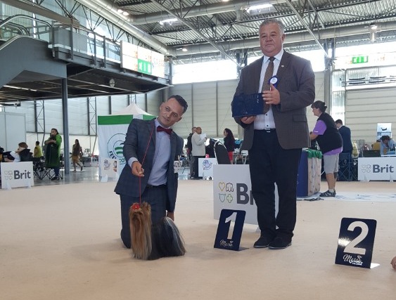 WW - Kiss please Nové Kasio