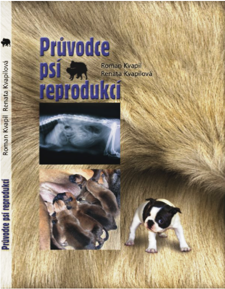 Průvodce