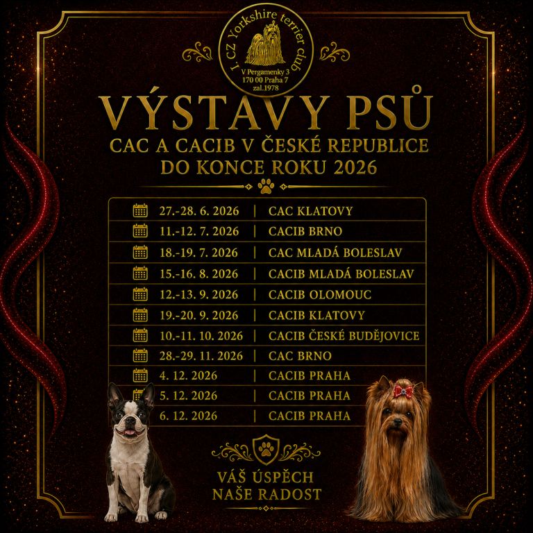 vystavy