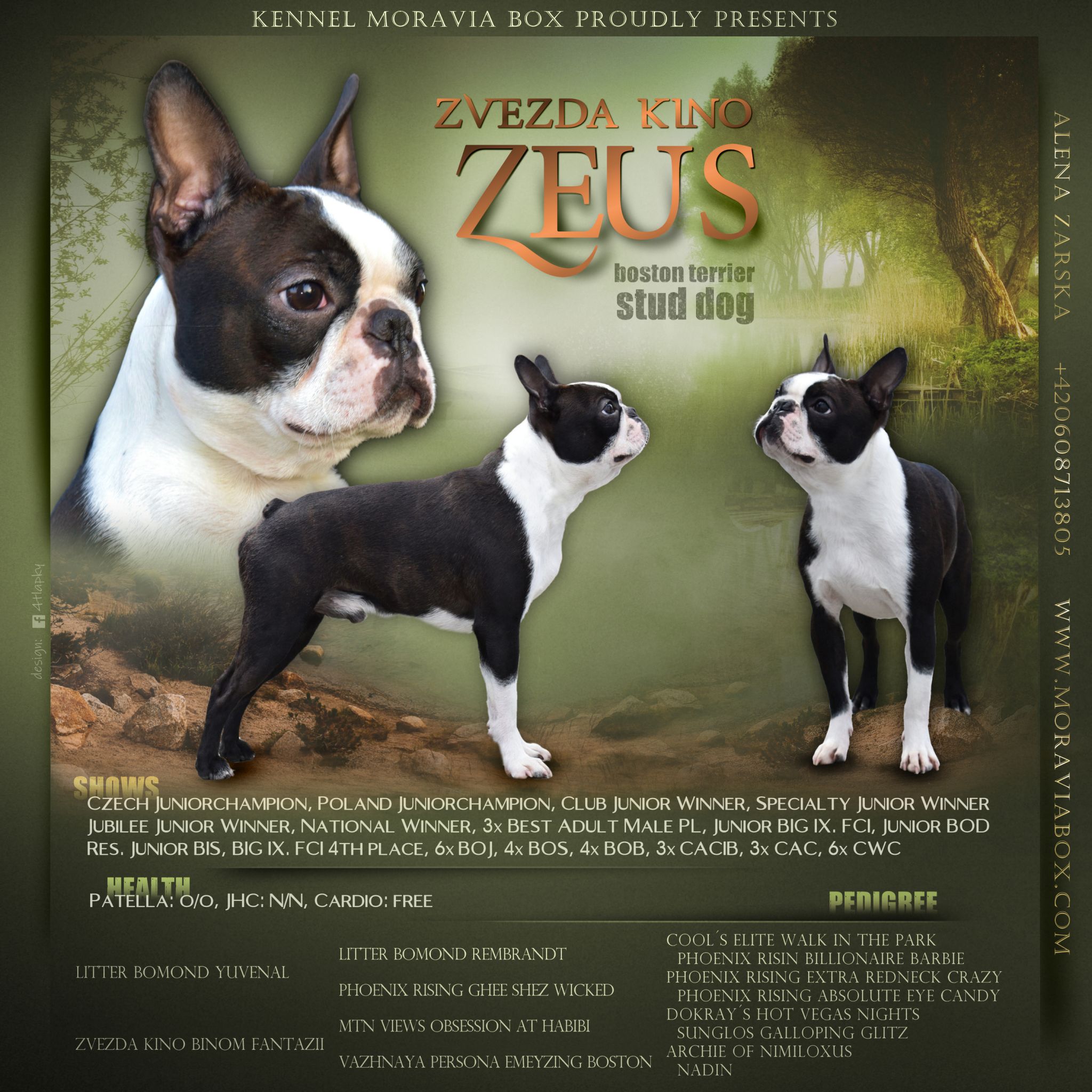 Zeus