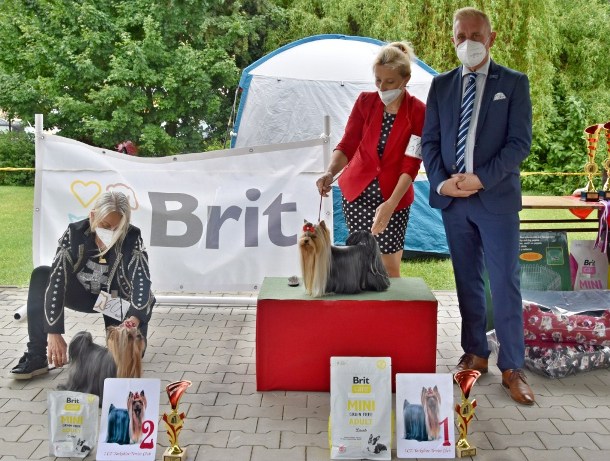 feny - tř. vítězů