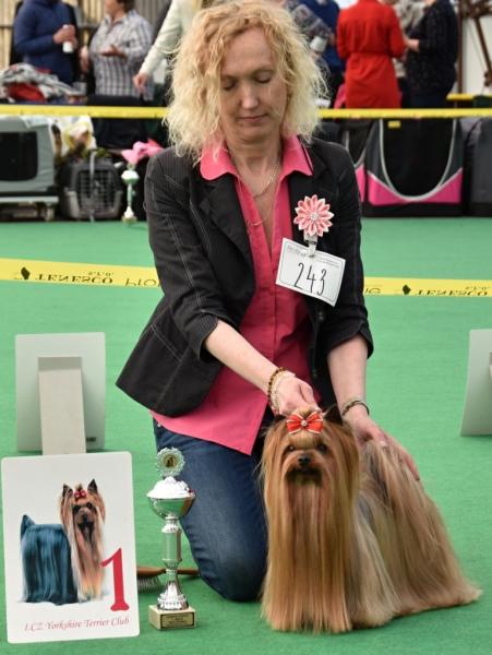 Cerberos Mini Mystery KV MB