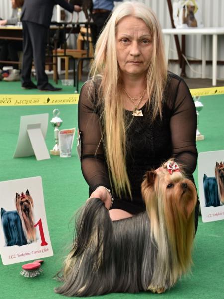 Willy Wonka Stříbrné Přání KV MB