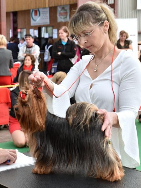 Grétka Jolly Bay KV MB