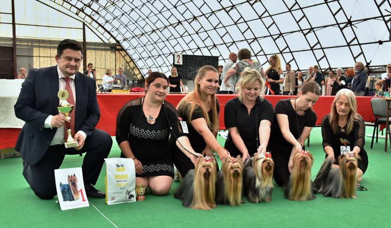 Chs. Stříbrné přání KV 2019