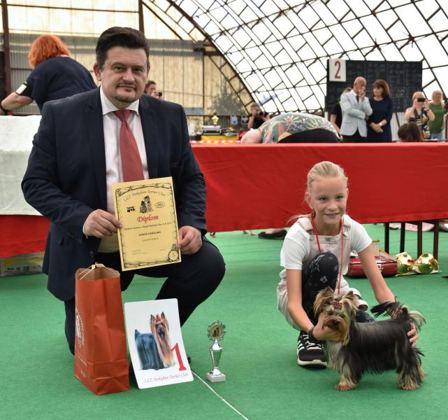 Junior handling KV 2019