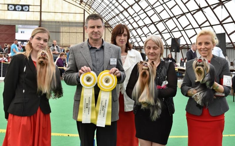 BOB, BOS a BOJ KV MB