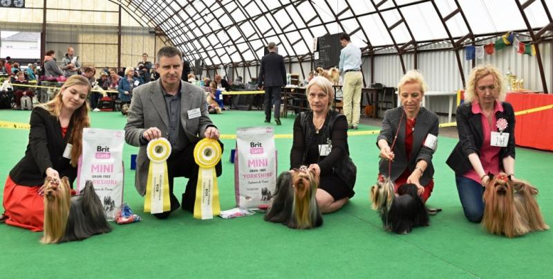 Vítězové výstavy KV MB