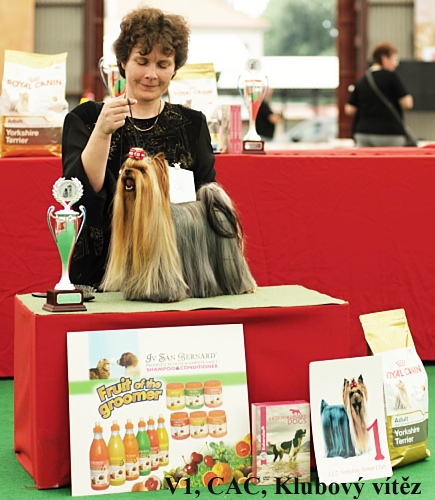 Klubový vítěz - fena