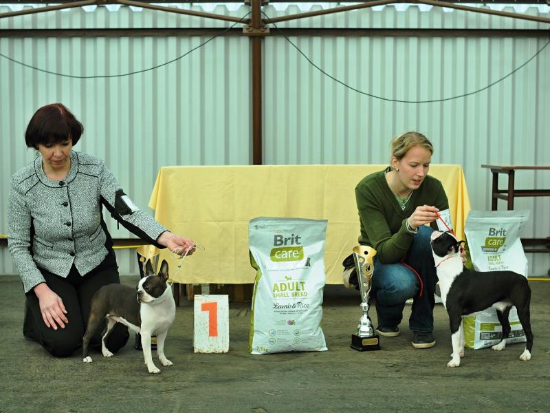 Vítězové speciální výstavy SpV