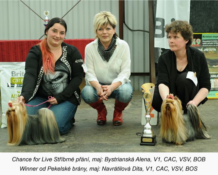 Vítězové speciální výstavy YT 2017 SV