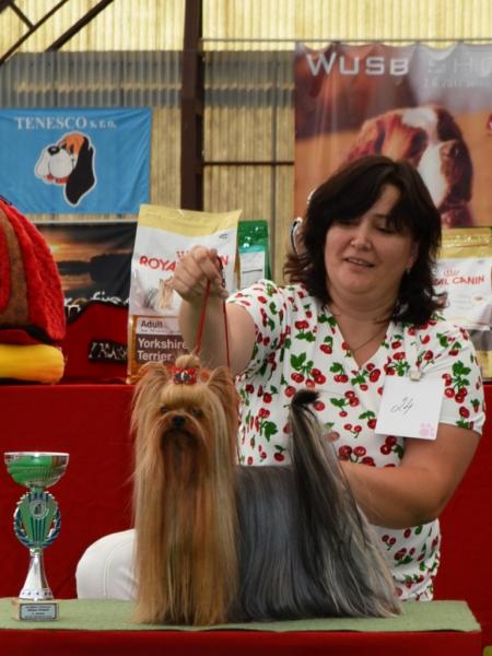 Kardinal Nové Kasio