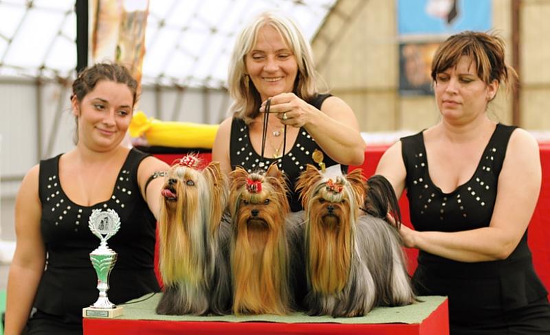 chovatelská skupina Stříbrné přání Stříbrné přání